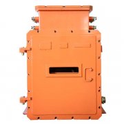 萬兆環網交換機 萬兆環網交換機